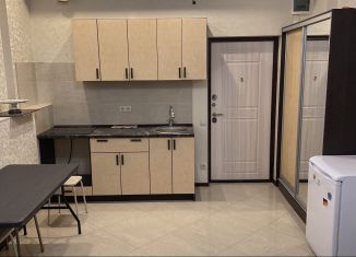 Квартира в аренду студия, 32 м2, Сочи, улица Надежды, 8, микрорайон Энергетик-Изумруд