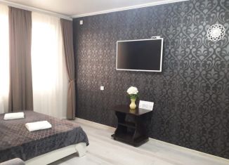 Сдается однокомнатная квартира, 30 м2, Краснодар, улица им. Героя Сарабеева В.И., 9/1, Прикубанский округ