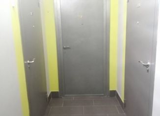 Квартира на продажу студия, 22.5 м2, поселок городского типа Стройкерамика, улица Анетты Басс, ЖК Видный