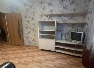 Однокомнатная квартира в аренду, 30 м2, деревня Григорово, Центральная улица, 14к1