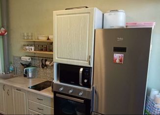 Продаю 2-ком. квартиру, 49 м2, Воронеж, улица Туполева, 27А, ЖК Авиатор