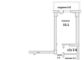 Продам 3-комнатную квартиру, 84.3 м2, Санкт-Петербург, улица Матроса Железняка, 57, метро Пионерская