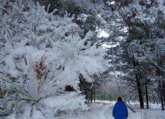 Сдам в аренду дом, 18 м2, Новосибирская область