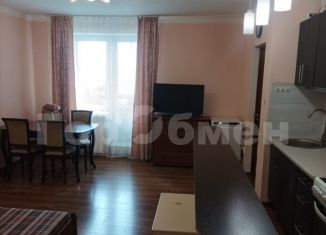 Продам 1-ком. квартиру, 48 м2, Люберцы, Инициативная улица, 13