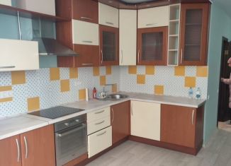 1-комнатная квартира в аренду, 45 м2, Самара, улица Алексея Толстого, 70