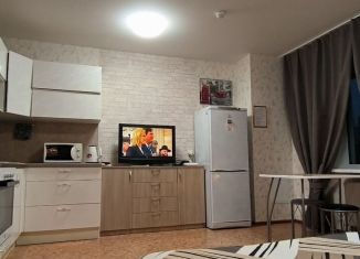 Сдается в аренду квартира студия, 30 м2, Пермский край, улица Крылова, 17