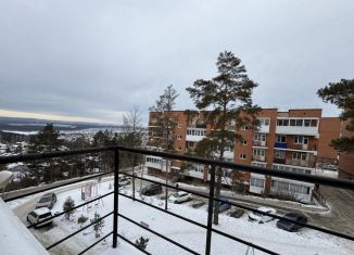 Продажа квартиры студии, 25.3 м2, рабочий поселок Маркова, микрорайон Берёзовый, 118