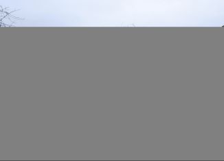 Продается дом, 22 м2, деревня Новоскаковское