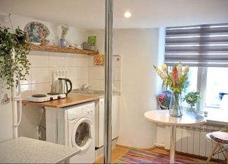 Сдам квартиру студию, 17 м2, Санкт-Петербург, Тележная улица, 9