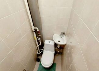 Сдается 1-ком. квартира, 33 м2, деревня Новое Девяткино, Арсенальная улица, 4, ЖК Девяткино