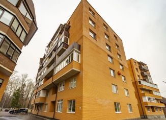 Продается двухкомнатная квартира, 49.2 м2, деревня Бородино, Варшавское шоссе, 78, ЖК Европа