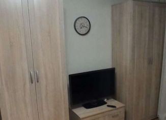 Сдам квартиру студию, 23 м2, Мурино, проспект Авиаторов Балтики, 9к3, ЖК Виктория