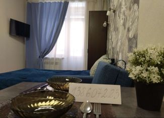 Сдача в аренду квартиры студии, 24 м2, Иркутская область, микрорайон Берёзовый, 80