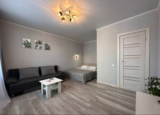 1-комнатная квартира в аренду, 40 м2, Самарская область, Приморский бульвар, 61