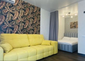 Сдам в аренду квартиру студию, 32 м2, Сочи, переулок Трунова, 6, ЖК Альпийский Квартал