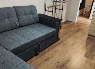 Сдаю в аренду квартиру студию, 22 м2, деревня Афонино, улица Красная Поляна, 1, ЖК Красная Поляна