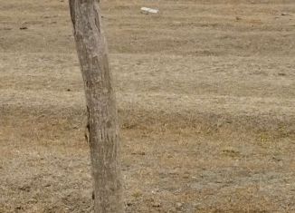 Продажа земельного участка, 10 сот., село Новомонастырское