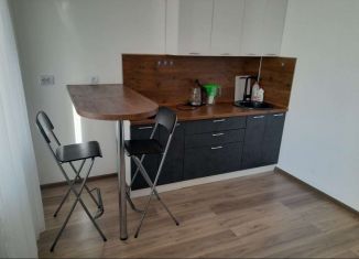 Сдаю в аренду квартиру студию, 25 м2, Мурино, Ручьёвский проспект, 13, ЖК Айди Мурино