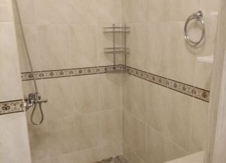 Квартира в аренду студия, 26 м2, деревня Голубое, Парковый бульвар