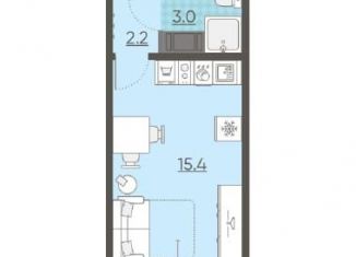 Продаю квартиру студию, 20.6 м2, Санкт-Петербург, Пейзажная улица, 20