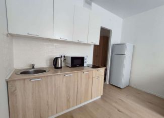 Сдача в аренду квартиры студии, 20 м2, Люберцы, улица Лётчика Ларюшина, 6к2, ЖК Жулебино Парк