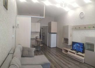 Квартира в аренду студия, 27 м2, Анапа, Владимирская улица, 154к4, ЖК Трио