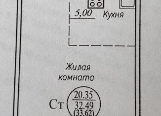 Продается квартира студия, 39 м2, Новосибирск, метро Студенческая, улица Виктора Шевелёва, 18