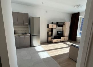 Сдача в аренду однокомнатной квартиры, 37 м2, Котельники, микрорайон Парковый, 1к7, ЖК Белая Дача Парк