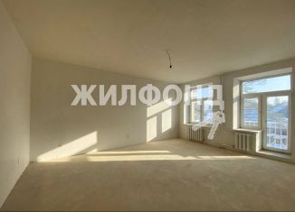 Продам трехкомнатную квартиру, 117.6 м2, Новосибирская область, 1-е Мочищенское шоссе, 150