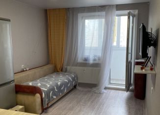 Продаю квартиру студию, 24 м2, Ростов-на-Дону, ЖК Платовский, Художественная улица