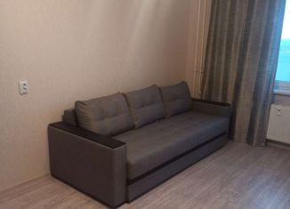 Сдаю квартиру студию, 25 м2, Ростов-на-Дону, ЖК Платовский, улица Теряева, 4