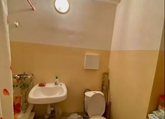 Продается 1-ком. квартира, 29.3 м2, сельский посёлок Новинки, улица Гагарина, 16к1, ЖК Окский Берег