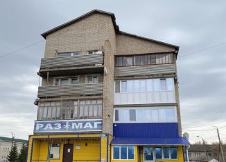 Продажа 1-ком. квартиры, 37.3 м2, село Раевский, улица Гагарина, 31