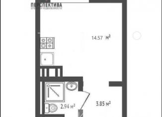 Продается квартира студия, 21.4 м2, деревня Мисайлово, микрорайон Пригород Лесное, к4.2