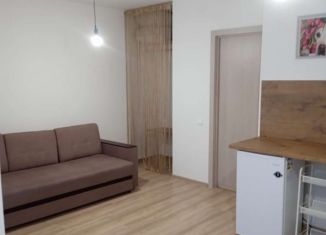 Сдам в аренду квартиру студию, 27 м2, Екатеринбург, улица Академика Парина, 45