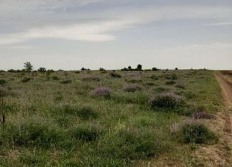 Продам земельный участок, 310 сот., село Ароматное