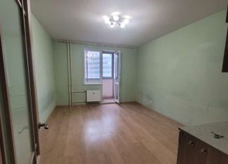 Сдам в аренду квартиру студию, 25 м2, Мурино, проспект Авиаторов Балтики, 3, ЖК Мой Город