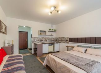 Сдается квартира студия, 25 м2, посёлок Шушары, Московское шоссе, 250к2