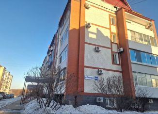 Продается квартира свободная планировка, 39 м2, Еврейская АО, Советская улица, 44А