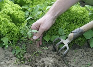 Продам участок, 3.5 сот., поселок Плотниково, Школьная улица