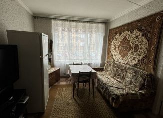 Двухкомнатная квартира в аренду, 47 м2, Санкт-Петербург, Октябрьская набережная, 76к3