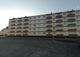 Продам помещение свободного назначения, 255 м2, деревня Крутые Выселки, проспект Космонавтов, 1