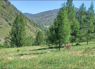 Продам земельный участок, 400 сот., село Шебалино, Р-256 Чуйский тракт, 555-й километр