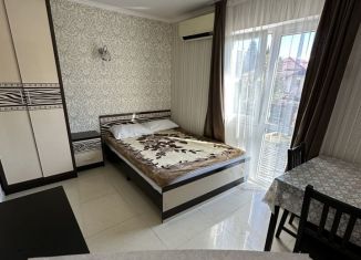 Сдаю в аренду квартиру студию, 22 м2, Сочи, Демократическая улица, 84, микрорайон Черемушки