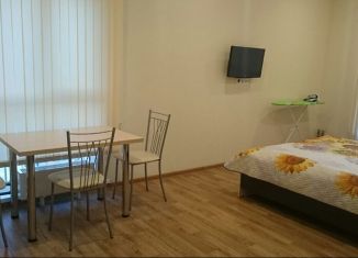 Сдается квартира студия, 36 м2, Иркутск, микрорайон Радужный, 111