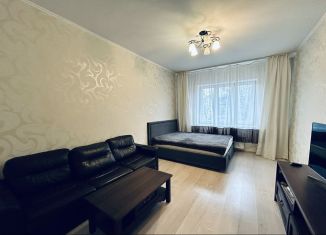 1-комнатная квартира на продажу, 42 м2, Нижегородская область, бульвар 60-летия Октября, 23к1