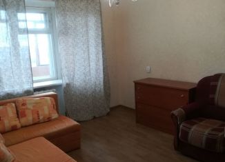 Сдам однокомнатную квартиру, 33 м2, Нижний Новгород, проспект Гагарина, 160