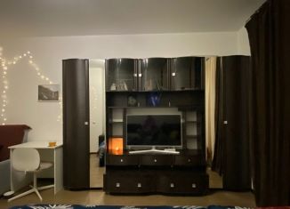 Сдача в аренду однокомнатной квартиры, 31.4 м2, Мурино, Графская улица, 8, ЖК Гринландия-2