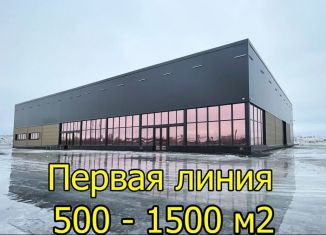 Сдам складское помещение, 500 м2, посёлок Шушары, Витебский проспект, 155
