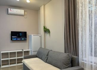 Аренда 1-комнатной квартиры, 30 м2, Сочи, садоводческое товарищество Лысая Гора, 422, микрорайон Светлана